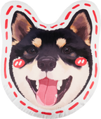 Pooji Custom Pet Shaped Pillow
