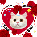 Pooji Custom Pet Canvas Wall Art