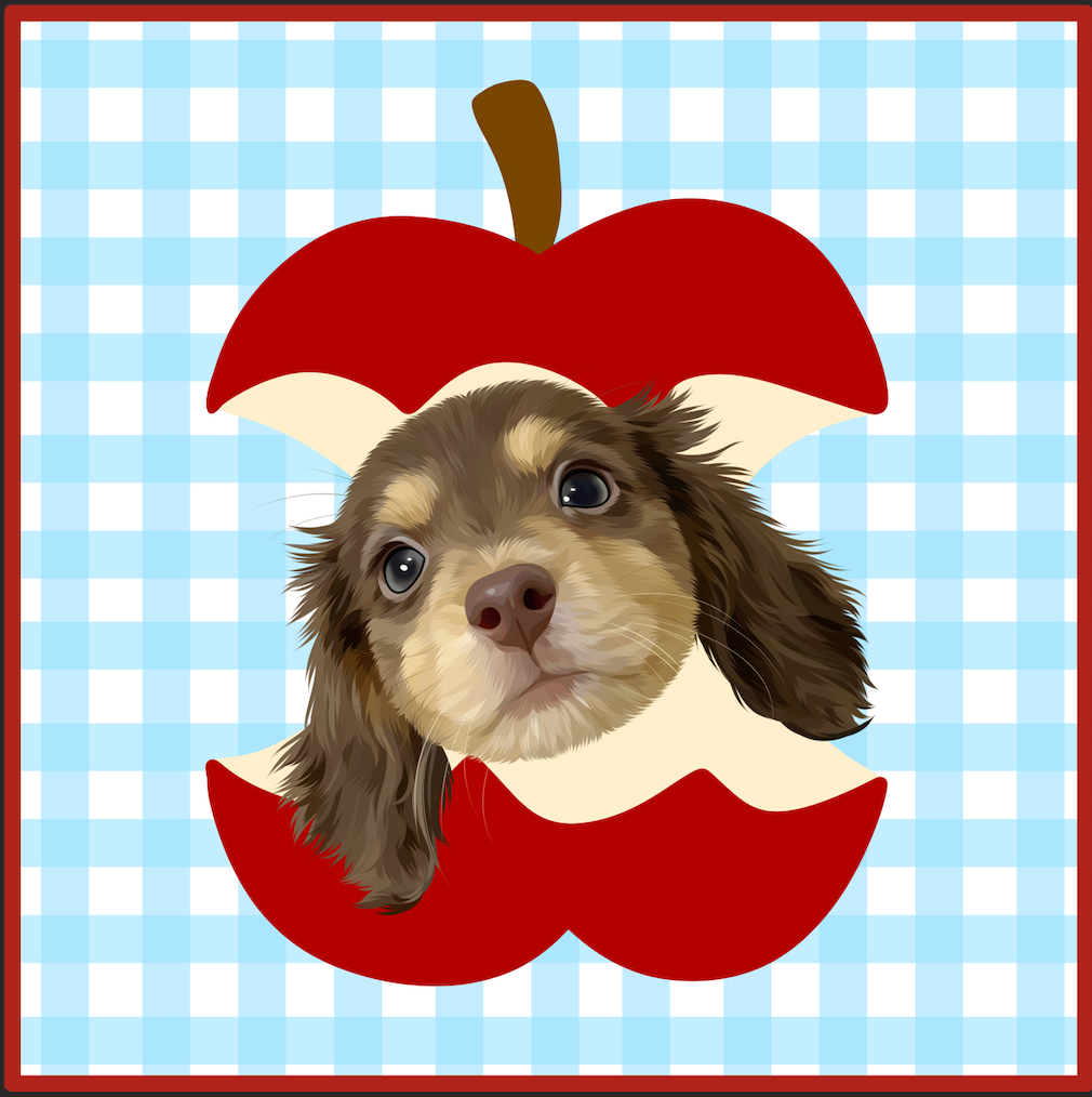 Pooji Custom Plush Seat Cushion