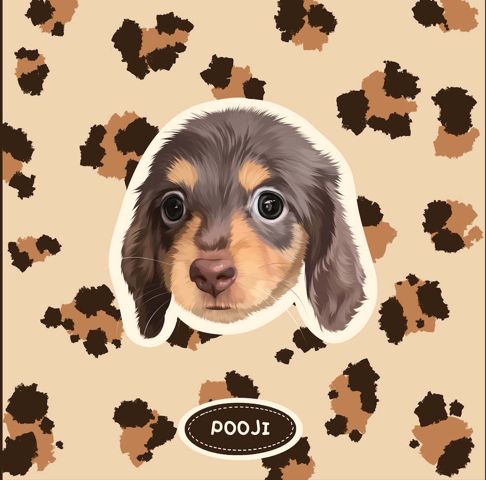 Pooji Custom Plush Seat Cushion