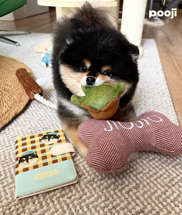 Pooji Custom Embroidered Pet Bone Plush Toy
