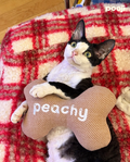 Pooji Custom Embroidered Pet Bone Plush Toy