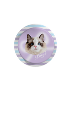 Pooji Custom Magnetic Acrylic Phone Grip(not including case)