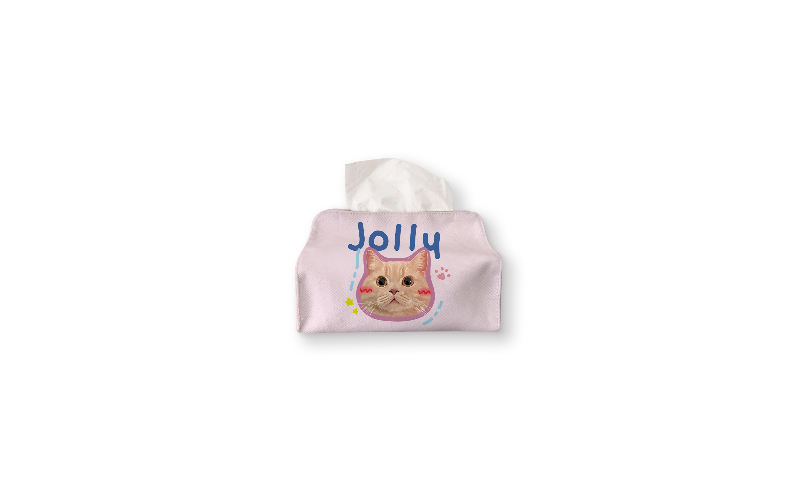 Pooji Custom Pet Tissue Box Cover