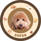 Custom Pet Shaped Rug (Washable Plush Floor Mat)
