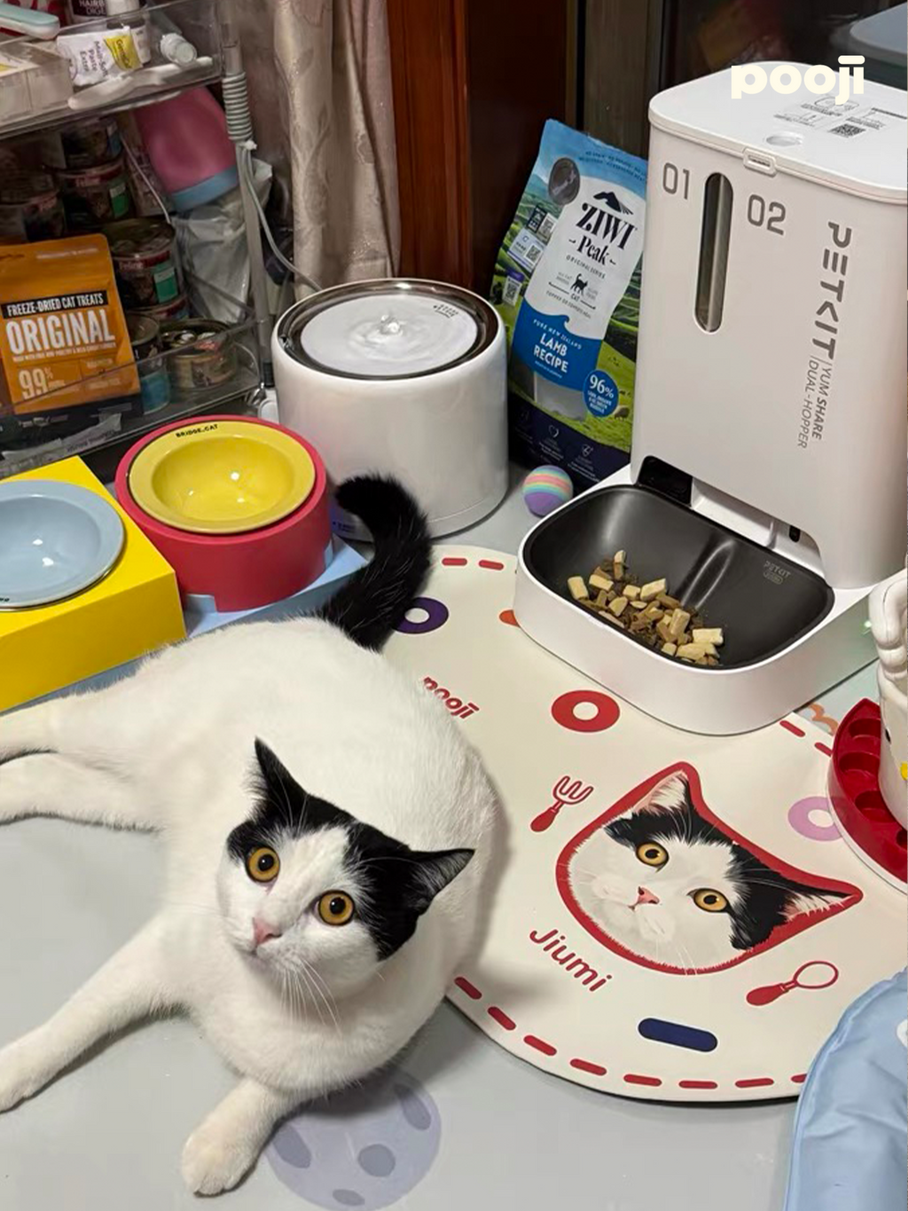 Pooji Custom Pet Table Mat