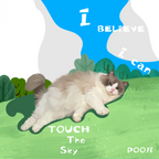 Pooji Custom Pet Canvas Wall Art