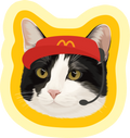 Pooji Custom Pet Shaped Pillow