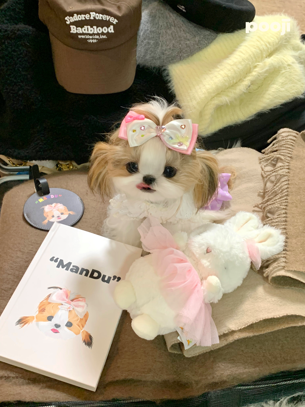 Pooji Notebook