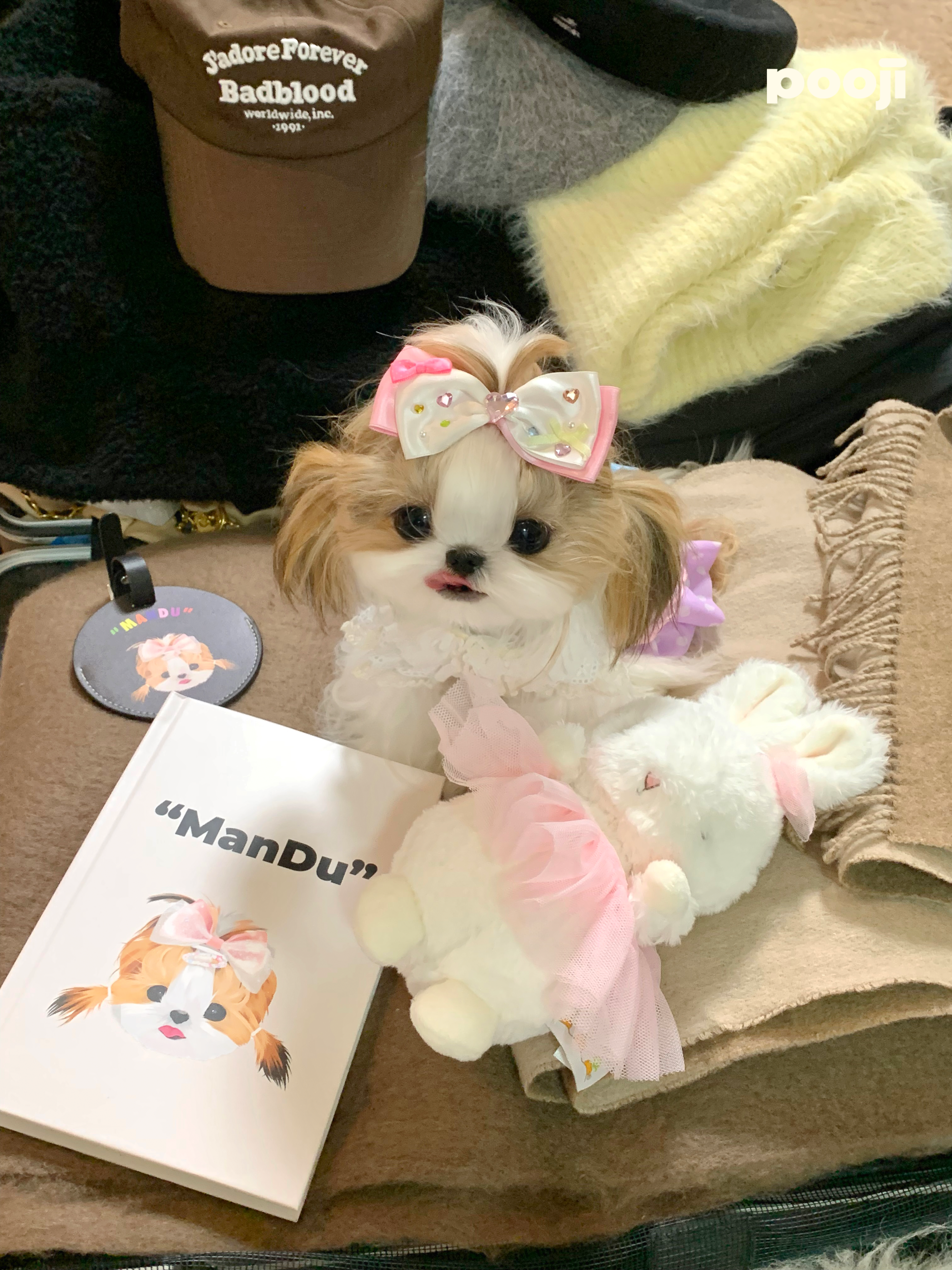 Pooji Notebook