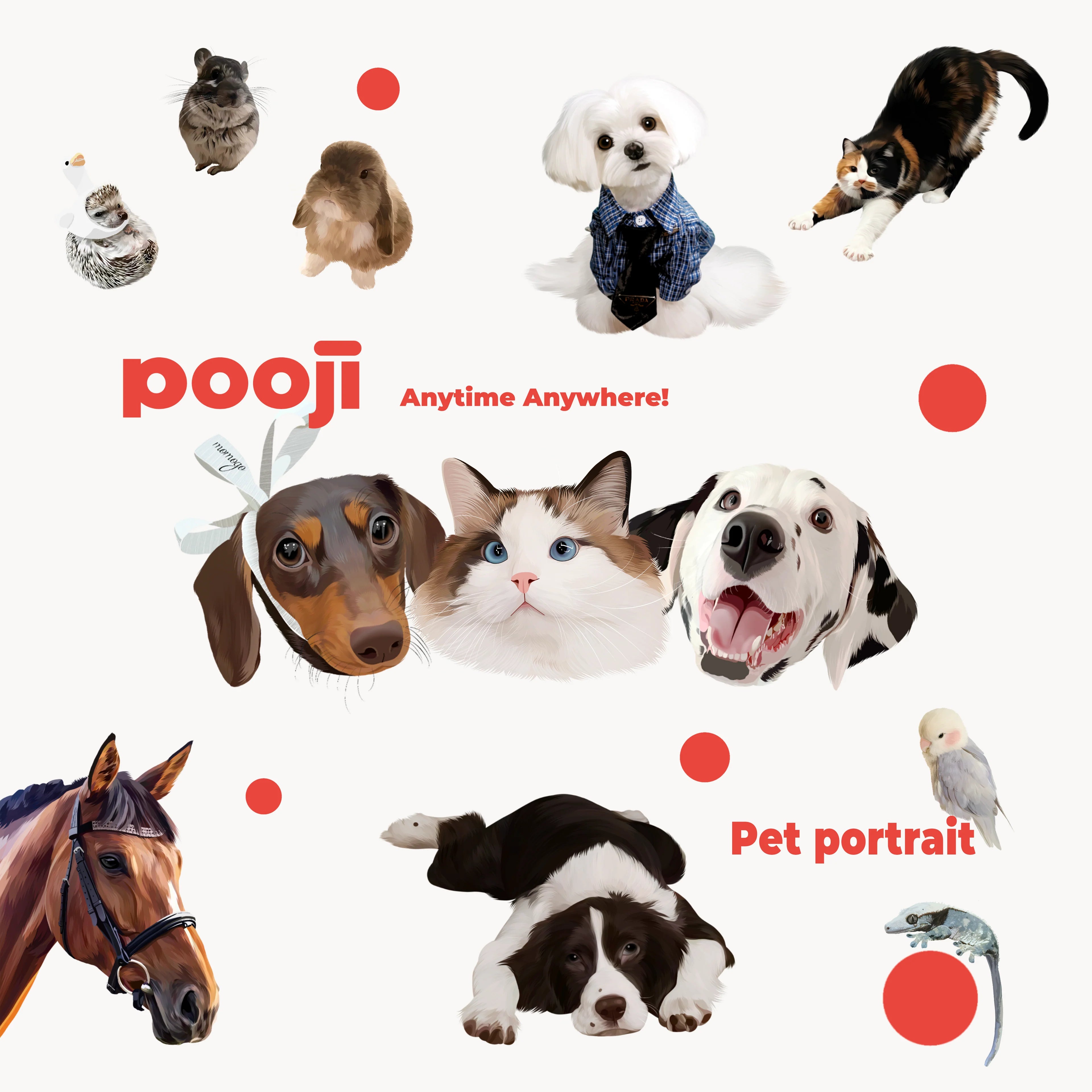Custom Pet Portraits
