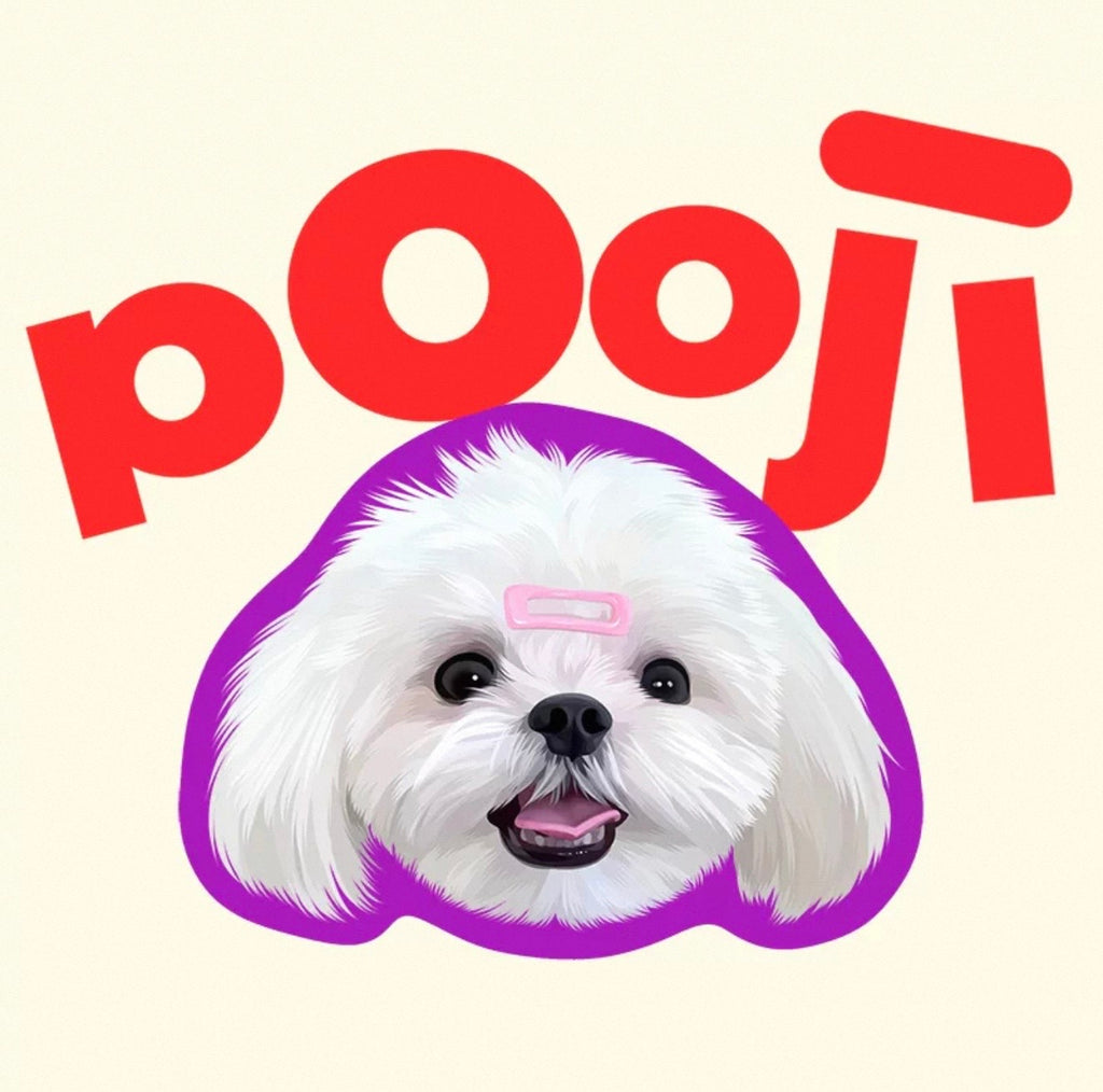 Custom Pet Portraits