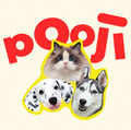 Pet Portrait Revision Upgrade