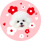 Custom Pet Shaped Rug (Washable Plush Floor Mat)