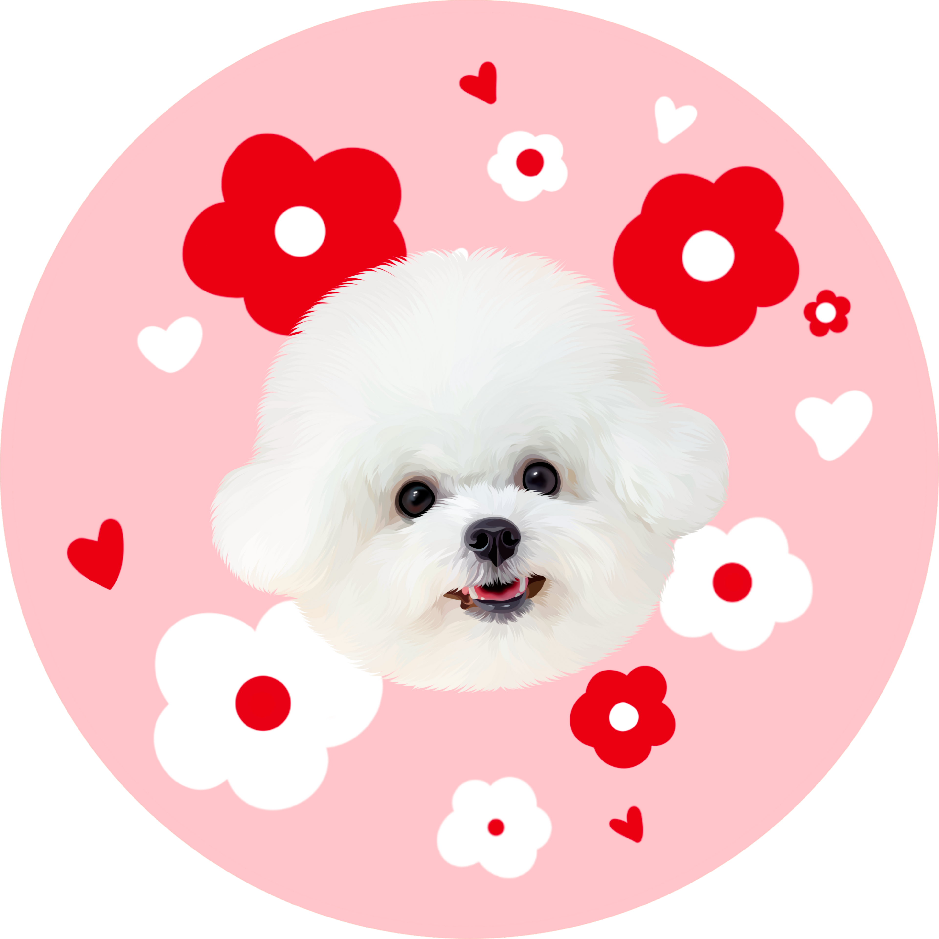 Custom Pet Shaped Rug (Washable Plush Floor Mat)
