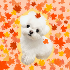 Pooji Custom Pet Canvas Wall Art