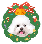 Pooji Custom Pet Shaped Pillow