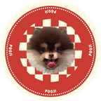 Pooji Custom Pet Ceramic Coaster