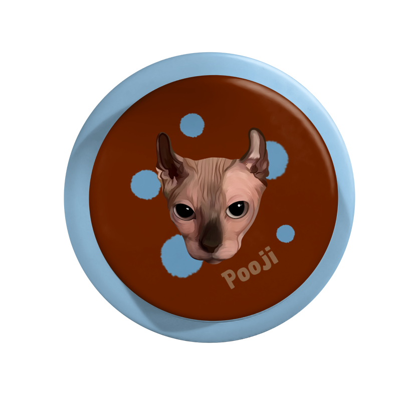 Pooji Custom Magnetic Acrylic Phone Grip(not including case)