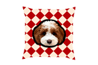 Pooji Custom Pet Shaped Pillow