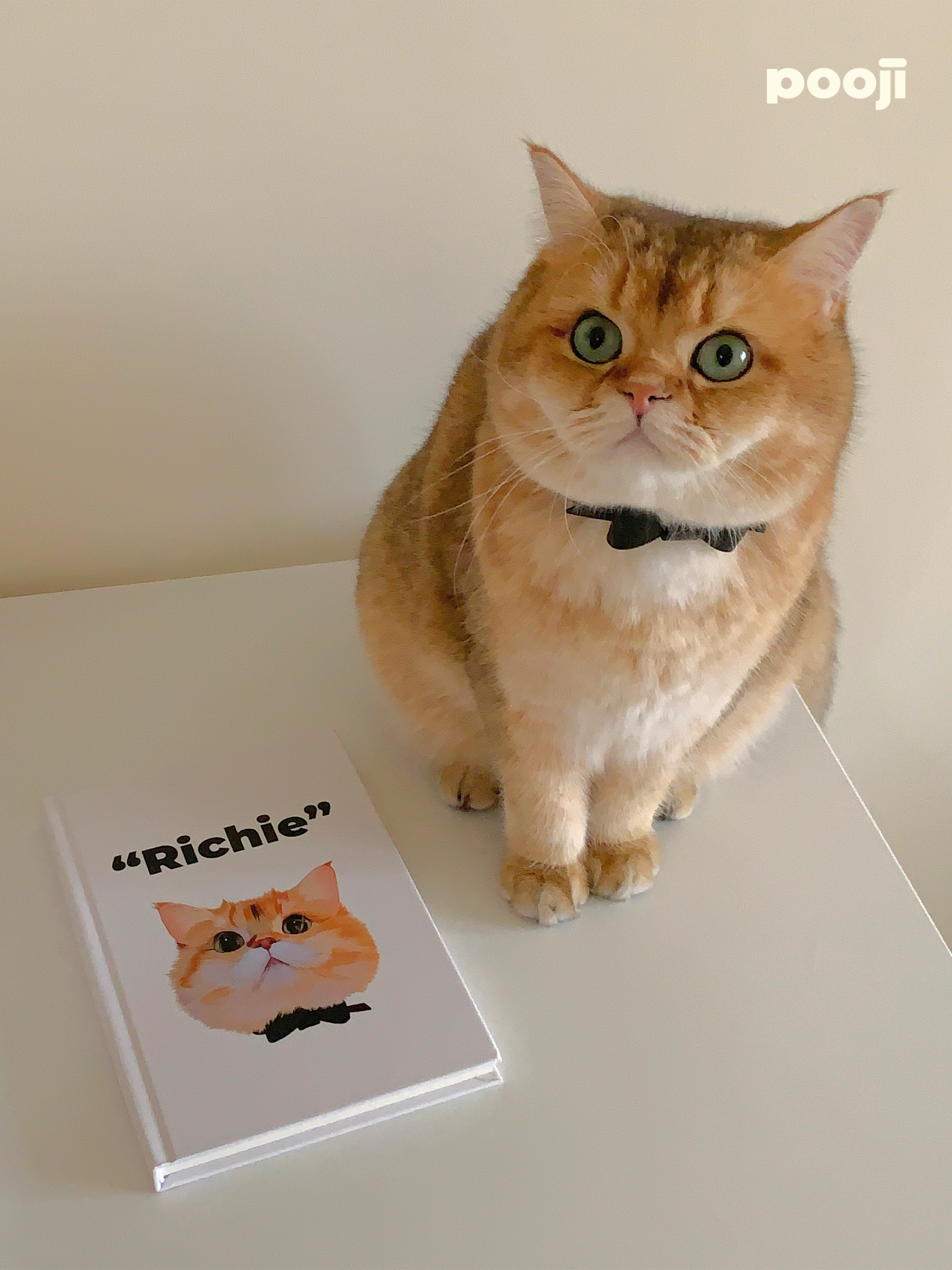 Pooji Notebook