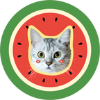 Pooji Custom Pet Shaped Pillow