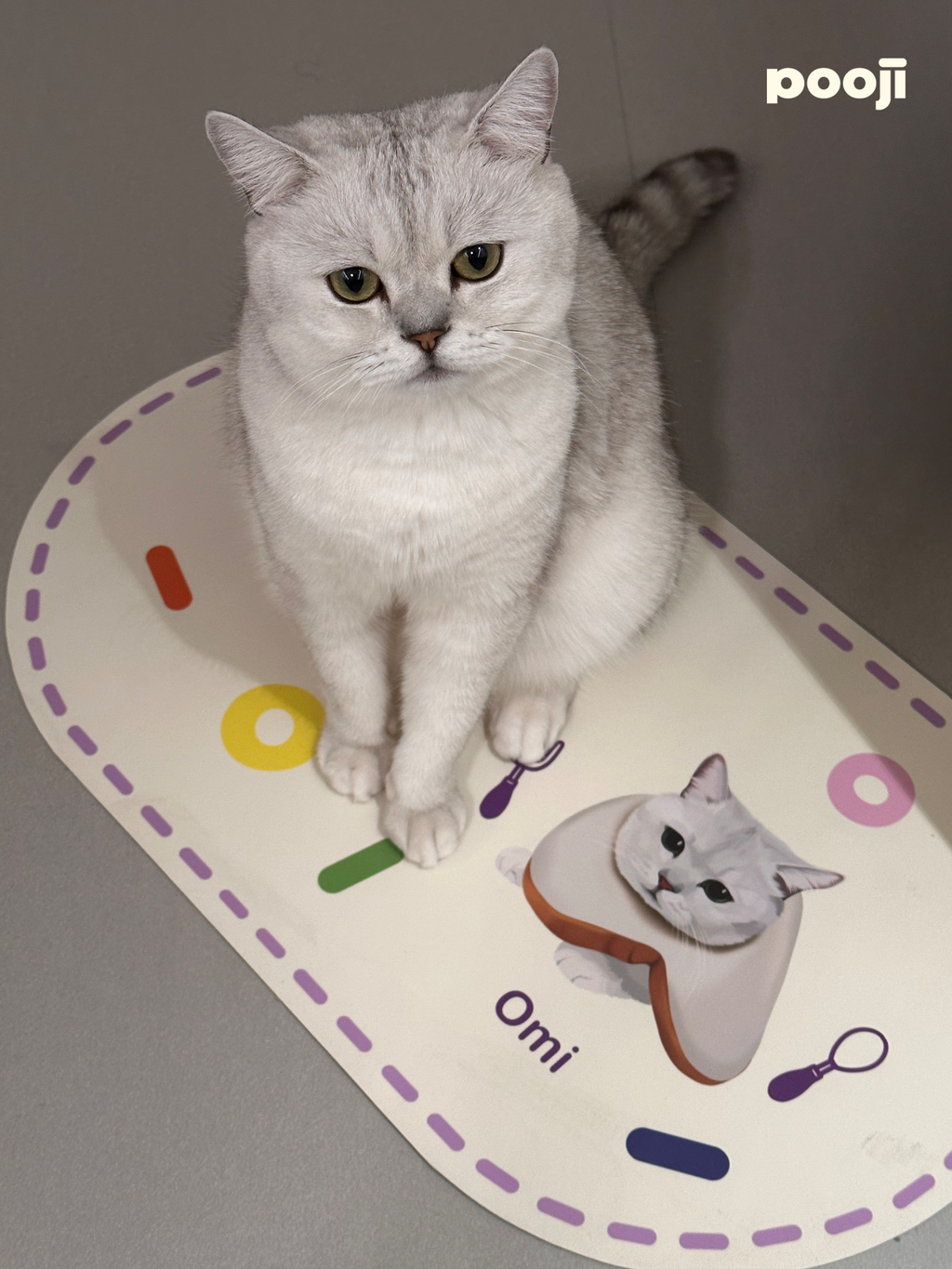 Pooji Custom Pet Table Mat