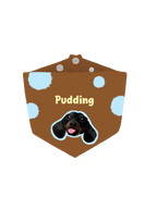 Pooji Custom Pet Bandana