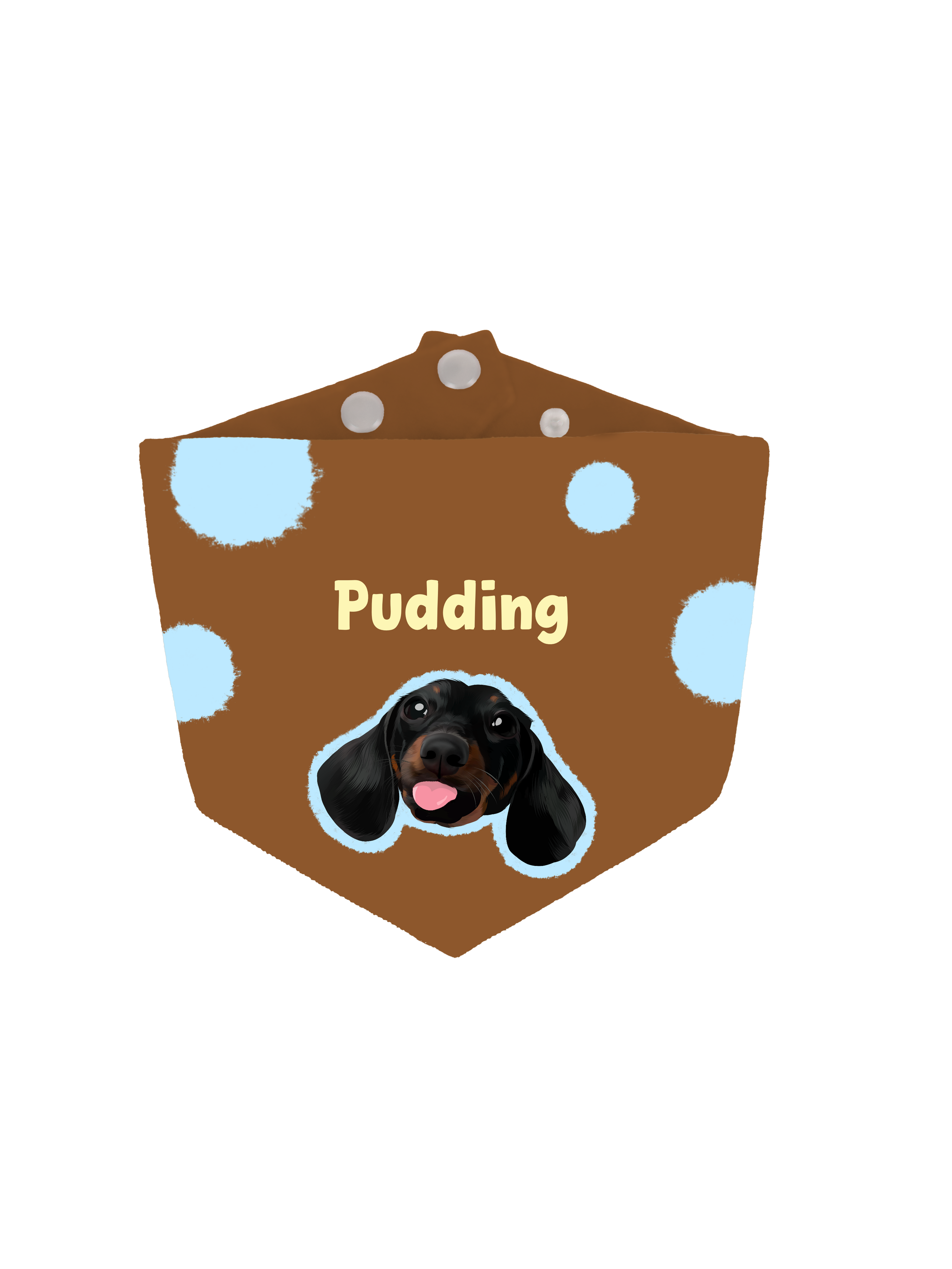 Pooji Custom Pet Bandana