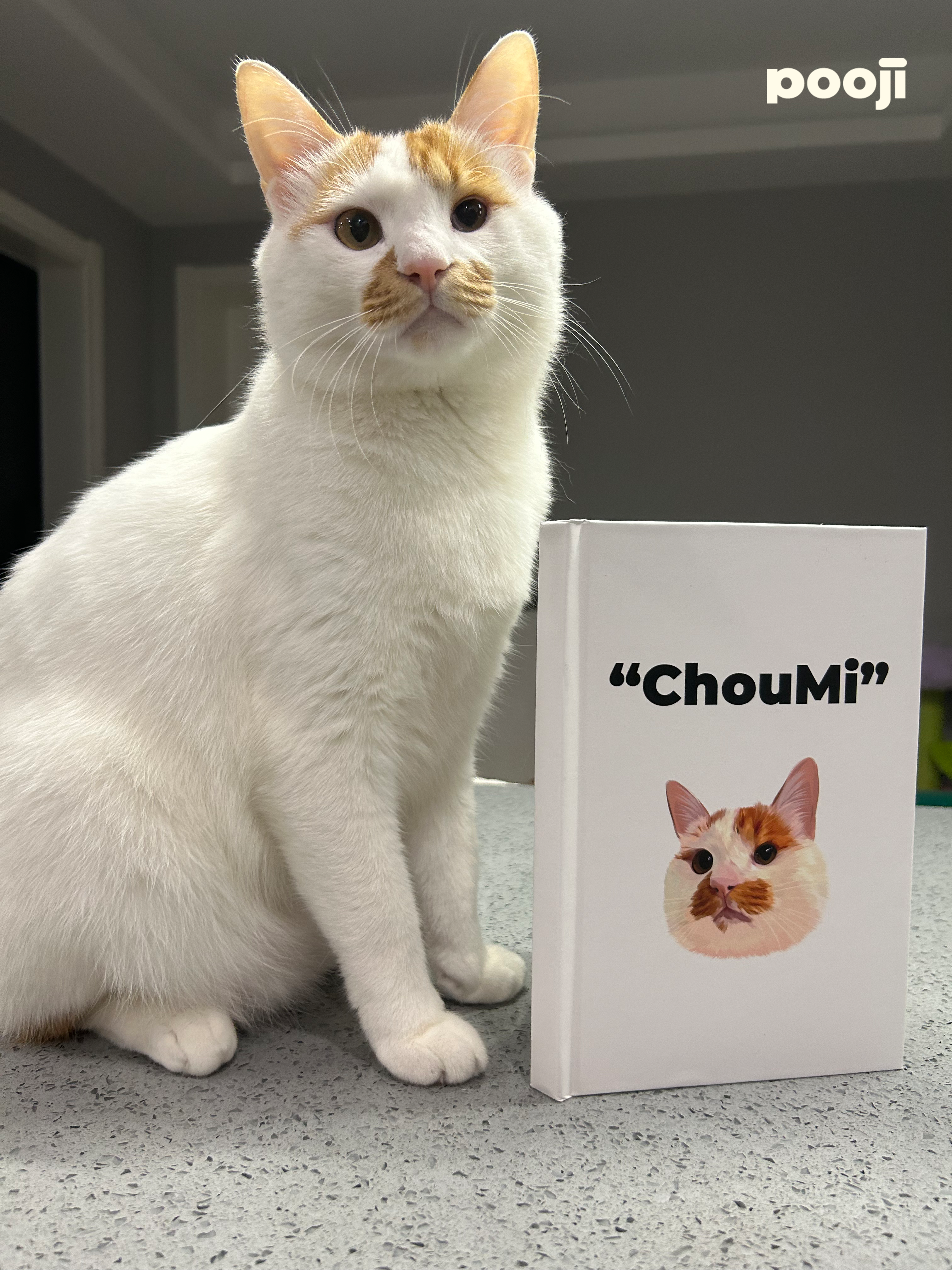 Pooji Notebook