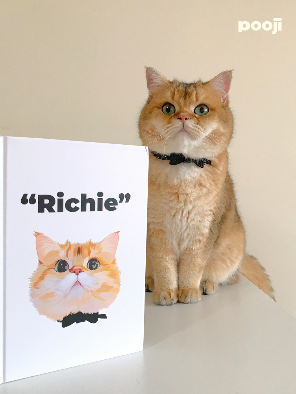 Pooji Notebook