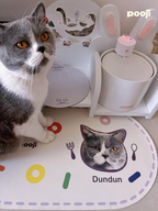 Pooji Custom Pet Table Mat
